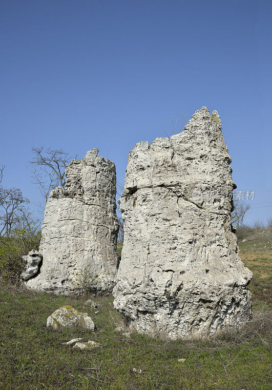 岩石现象Pobiti Kamani(石化森林)